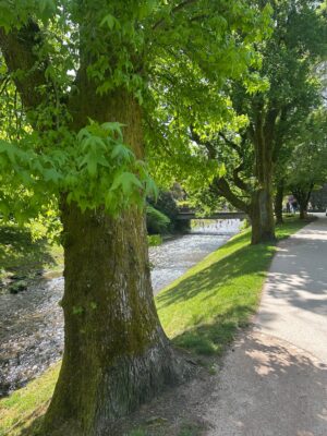 Baden Baden, Belle Epoche, Bismarck, and Better Care
